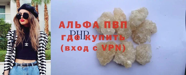 дживик Козельск
