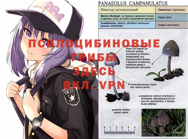 дживик Козельск