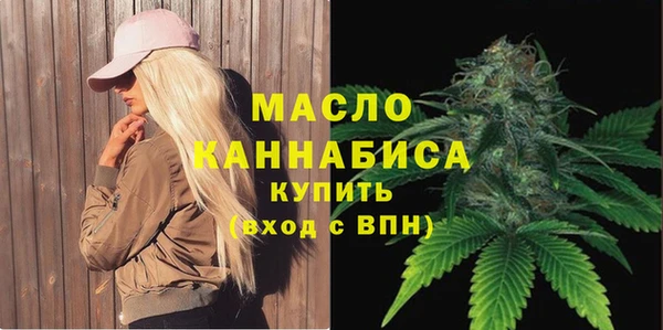 дживик Козельск