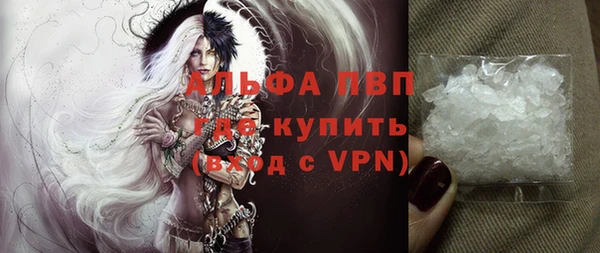 дживик Козельск