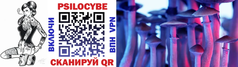 Галлюциногенные грибы Psilocybe  Купить закладки  Инсар 